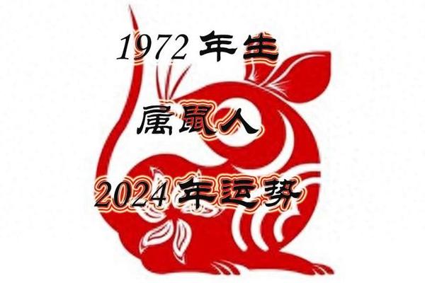 1972年的鼠在2024年范小人