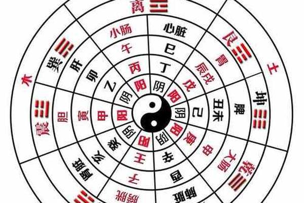 八字查阴阳 八字查阴阳