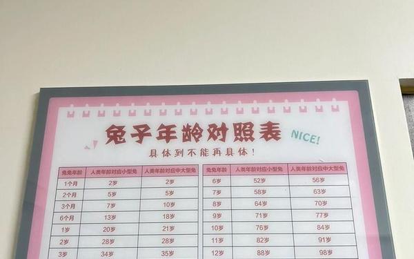 属兔的岁数分别是多少岁,属兔的全部岁数 属兔的岁数分别是多少岁,属兔的全部岁数