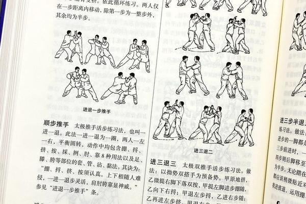 太极思维文化精髓-国学初学者先学什么