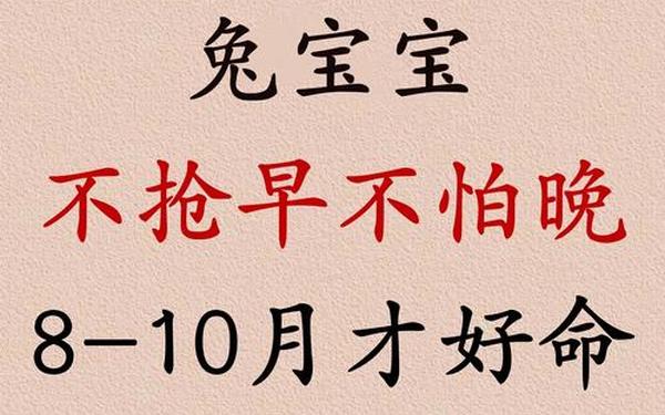 属兔哪一年出生 兔子是几几年出生 属兔哪一年出生 兔子是几几年出生