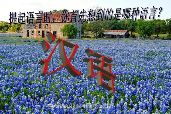 关于方言文化的ppt-民俗文化ppt免费下载 关于方言文化的ppt-民俗文化ppt免费下载