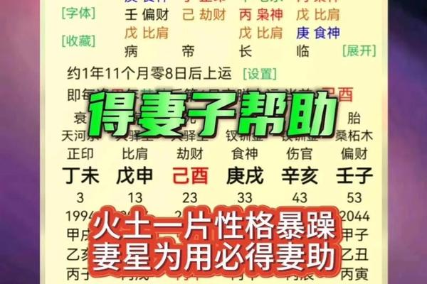 八字妻星