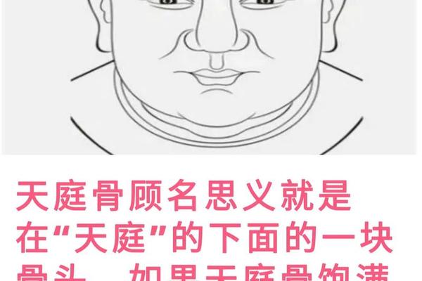 骨伤痣相(骨相学中的富贵骨图解)