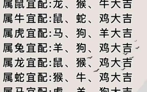 属狗和属兔的配不配 属狗和属兔的配不配