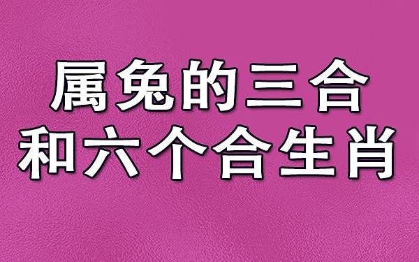 属猴跟属兔的做生意合不合财 兔猴属相做生意好吗 属猴跟属兔的做生意合不合财 兔猴属相做生意好吗