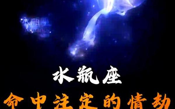 水瓶座和什么座最配,水瓶座躲不过的情劫