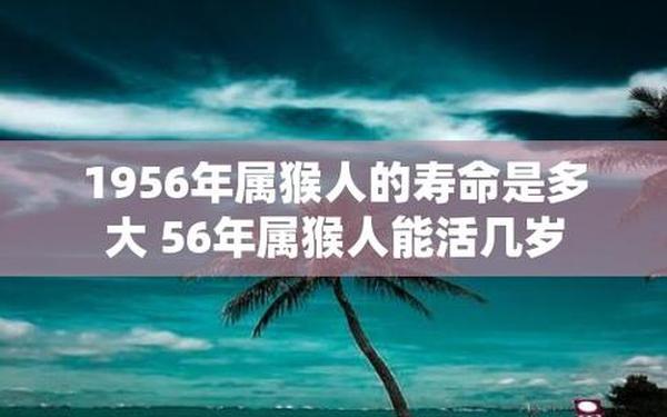 属猴的是哪年出生的-56年属猴 属猴的是哪年出生的-56年属猴
