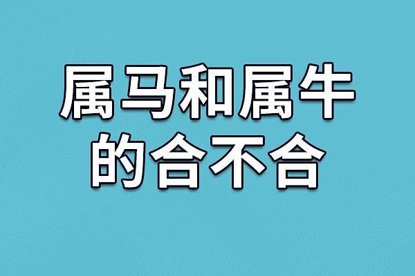属相牛为什么不能8月结婚 属牛和属马结婚案例