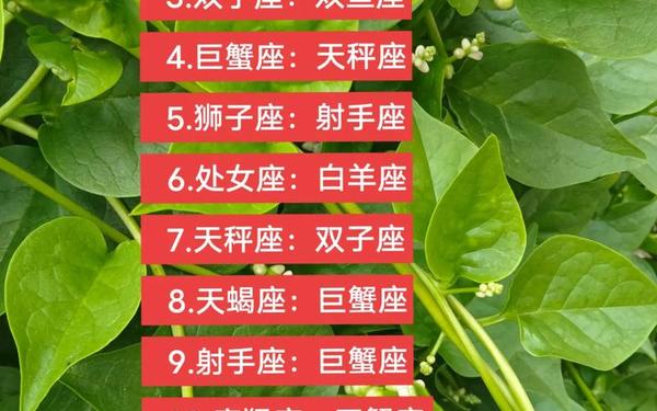 白羊座和什么座最配对—白羊座男生和水瓶座女生配对指数