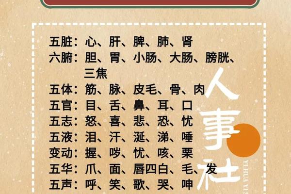 中华文化常识指的是什么-关于五的文化常识