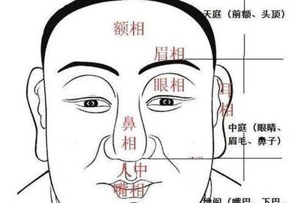 面部长痣 麻衣神相—面部痣相图解男人 面部长痣 麻衣神相—面部痣相图解男人