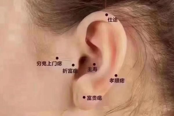耳朵右上有痣 痣相-女人痣相图解