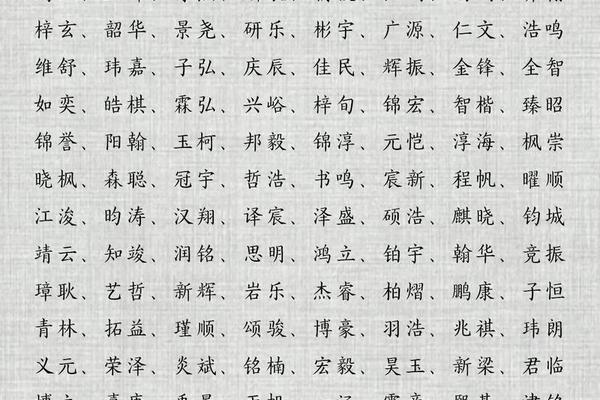 姓名的姓名是什么词类型
