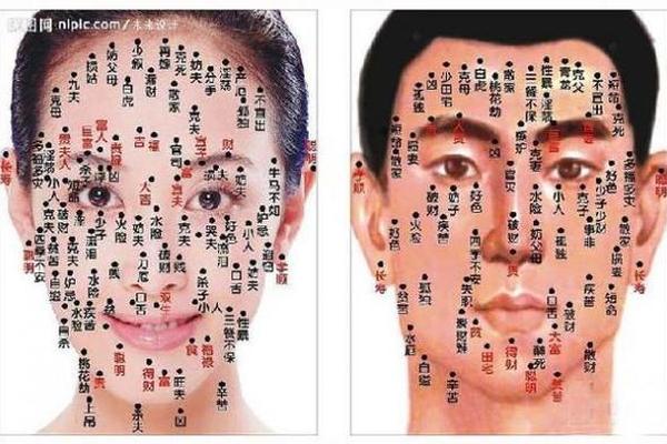 女人面部痣相侧脸最准图 男人面部痣相最准图解