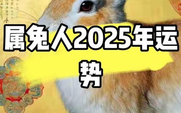 属兔人2025运势完整版 属兔人2025运势完整版