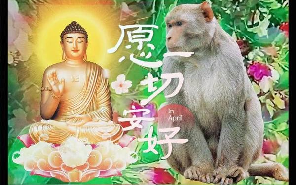 68年出生的属猴人今日偏财运-1956猴几月生最好 68年出生的属猴人今日偏财运-1956猴几月生最好
