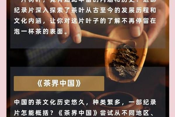 中国茶文化与茶健康视频;100集纪录片茶文化视频