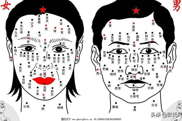 人胳膊的痣相(全身痣相图解大全) 人胳膊的痣相(全身痣相图解大全)