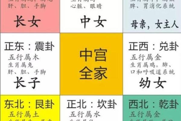 痣相宫五行属性是什么_八宫五行属性
