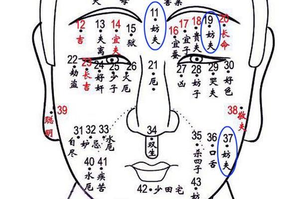 有野心的痣相 越隐秘的痣越好吗 有野心的痣相 越隐秘的痣越好吗