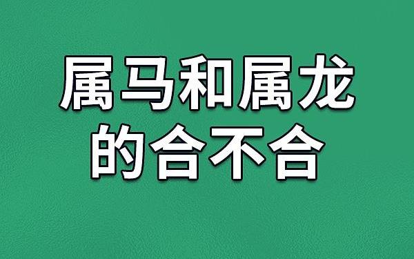 属马跟龙的相配吗(属马跟龙在一起相配吗) 属马跟龙的相配吗(属马跟龙在一起相配吗)