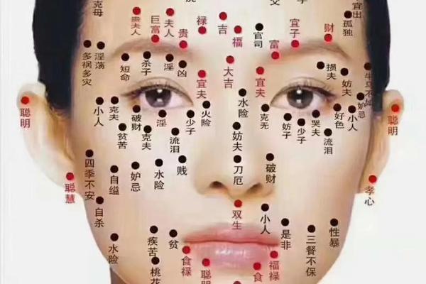 鼻相有痣图解男人—男子鼻翼痣图解
