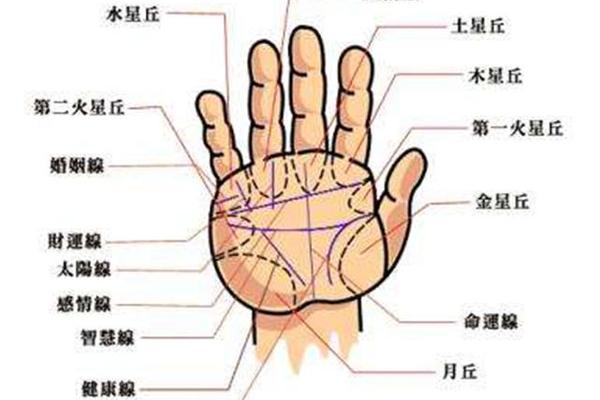 痣相代表含义-手掌痣相图解