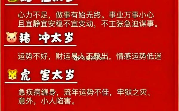 属猪的几年几岁 属猪的几年几岁