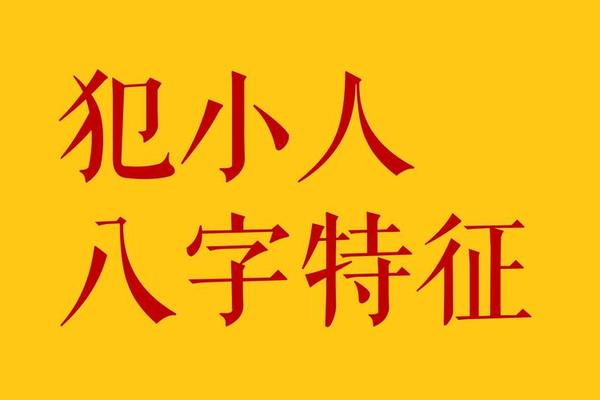 傻子八字 傻子八字