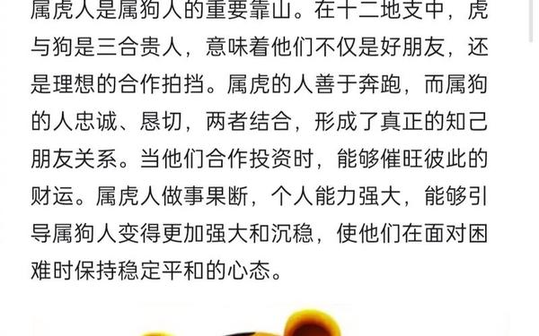 属虎都是哪一年出生人-属虎的都有哪一年出生的 属虎都是哪一年出生人-属虎的都有哪一年出生的