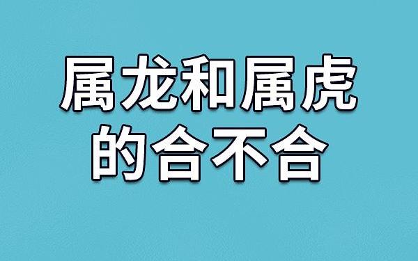 属虎和属龙合财吗婚姻,属龙和属虎的合不合财运 属虎和属龙合财吗婚姻,属龙和属虎的合不合财运
