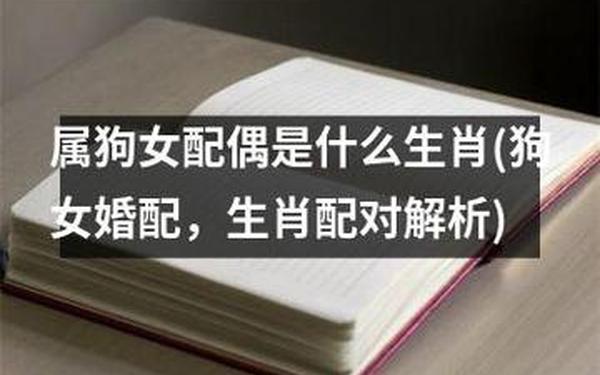 男鸡女狗为何说是绝配-属狗人最忌配偶什么属相 男鸡女狗为何说是绝配-属狗人最忌配偶什么属相