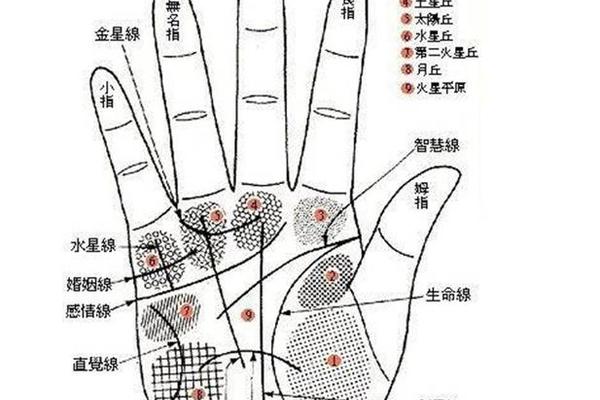 右手小手指痣相 右手小指有痣图解