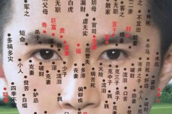 男生痣相特点分析,男性面相图解 痣相
