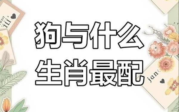 1982年属狗和什么属相最配,1982年属狗的性格优点和缺点 1982年属狗和什么属相最配,1982年属狗的性格优点和缺点