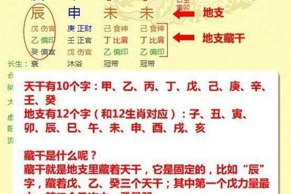 解读八字排盘