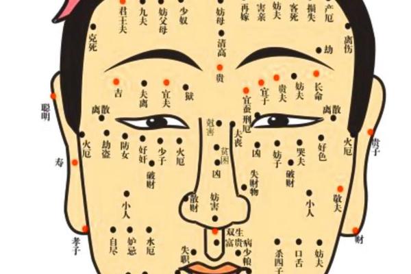 夫敏痣相(善痣和恶痣照片)
