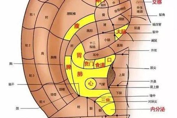 耳朵相痣图解—耳朵周围的痣图解 耳朵相痣图解—耳朵周围的痣图解