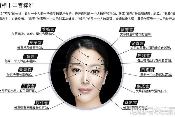 痣相大全 视频讲座;点痣的全过程视频