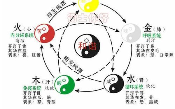 猴属于金木水火土哪五行_猴子五行属什么属性 猴属于金木水火土哪五行_猴子五行属什么属性