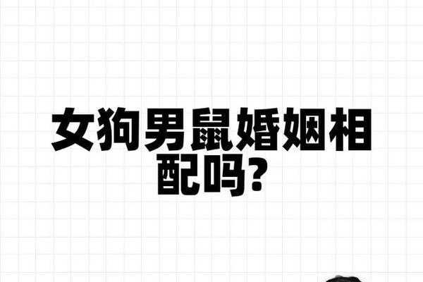 属鼠的和什么属相最配相克属狗