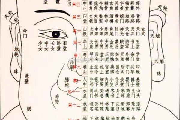 面相痣相排图详解大全(面相十二宫排图详解)