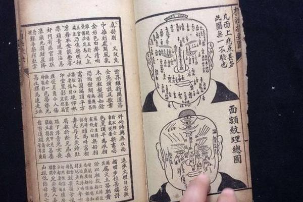 民间相学手面体摸骨痣相 摸手骨算命法骨相表