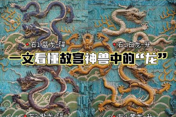 龙文化的文明与教育、龙文化的现代传承意义