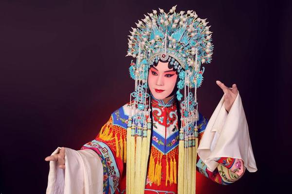 戏曲艺术(戏曲艺术的主要特点是)