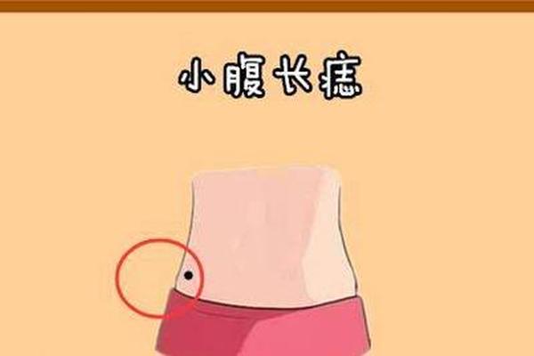 肚子上面的痣相-肚子有痣代表什么意思
