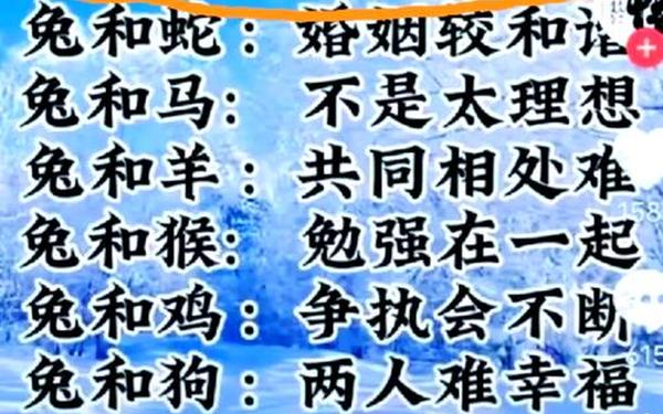 属兔最佳婚配属相最好是什么生肖 属兔和什么属相最配婚姻 属兔最佳婚配属相最好是什么生肖 属兔和什么属相最配婚姻