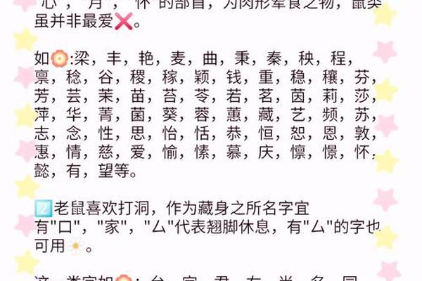 2020年的鼠宝宝五行属什么