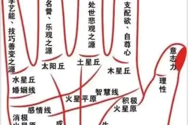 事业宫痣相—事业线40种图解